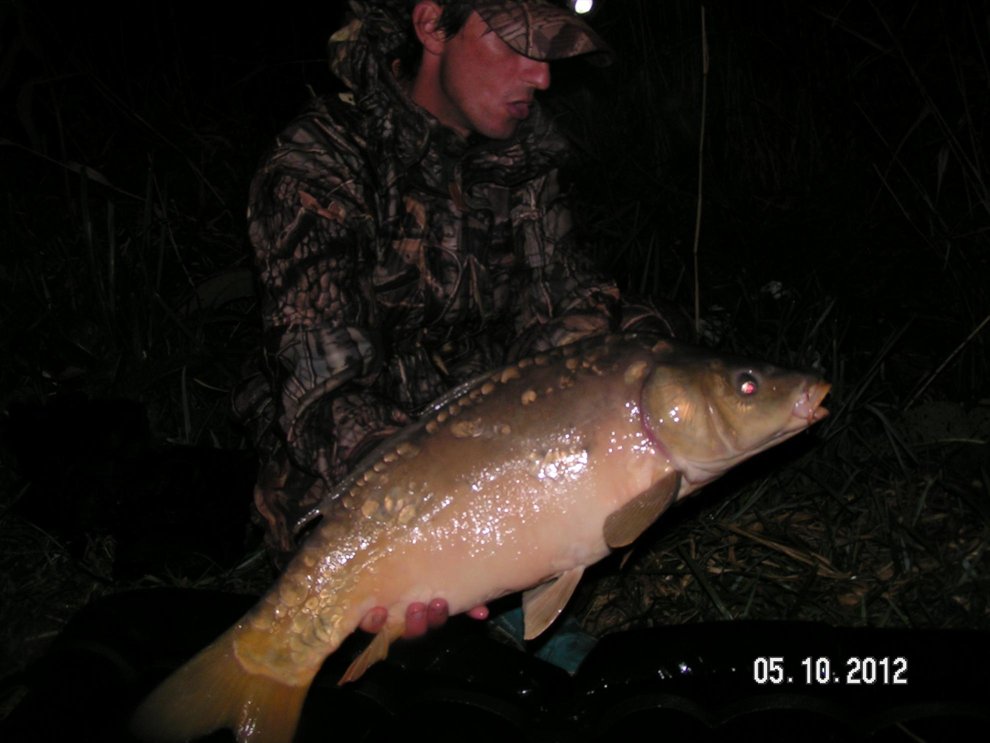 Lates 4-6.10.2012 - pict1164.JPG